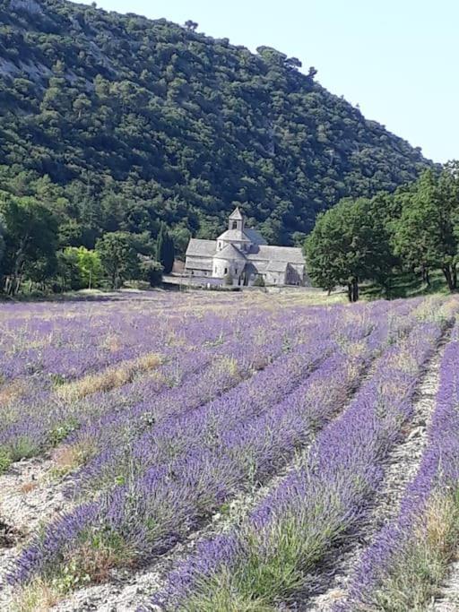 Villa Bastidon Plein Sud Gordes Exterior foto